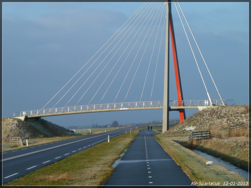 nieuwjaarsloop2013112.jpg